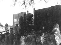 Changarines cargando un vagón en el BAP