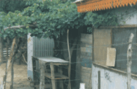Casilla de madera habitada, en el paso a nivel de la calle Junín